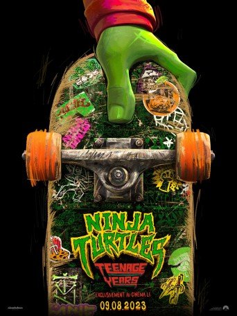 NINJA TURTLES TEENAGE YEARS